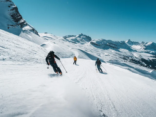 Ski de piste