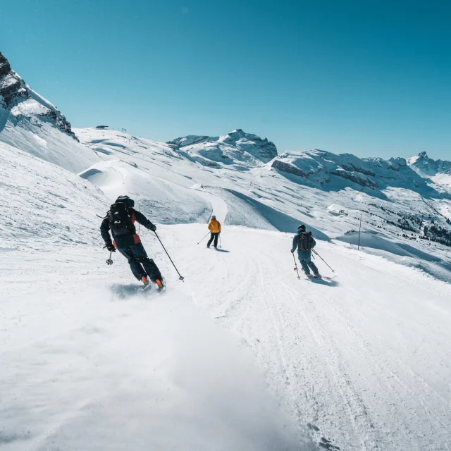 Ski de piste
