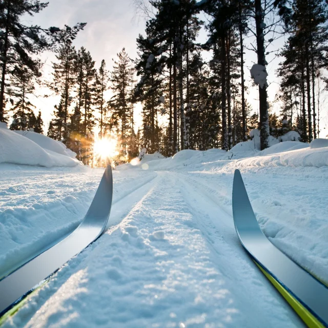 Ski Avoriaz