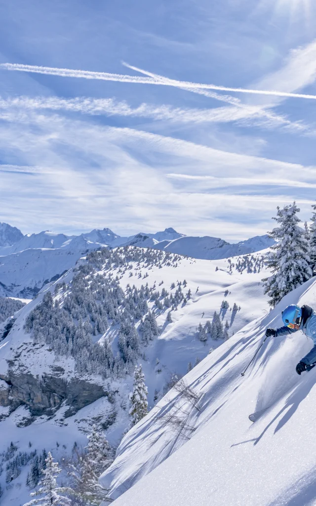 Ski Praz Sur Arly
