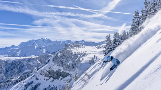 Ski Praz Sur Arly