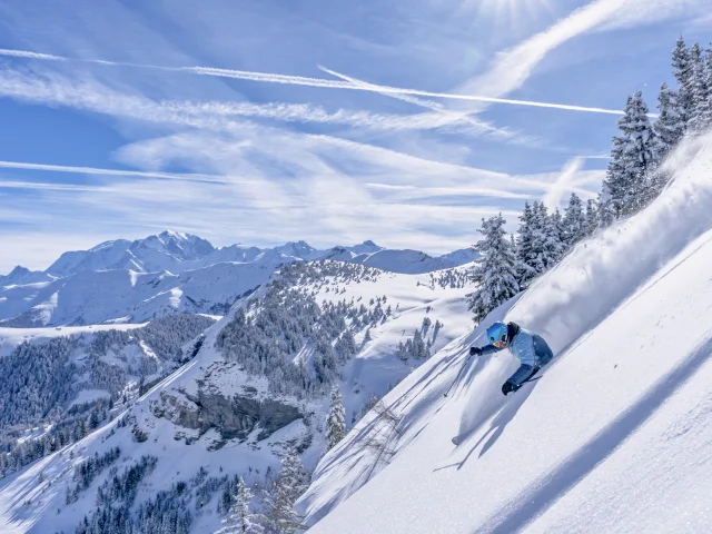 Ski Praz Sur Arly