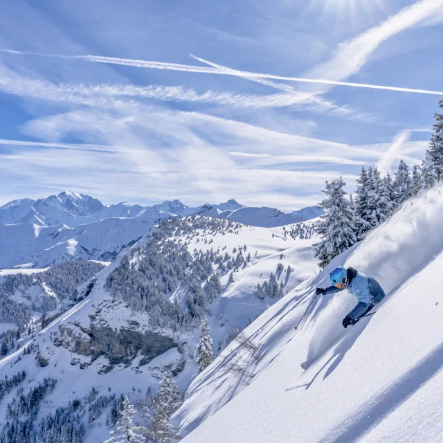 Ski Praz Sur Arly