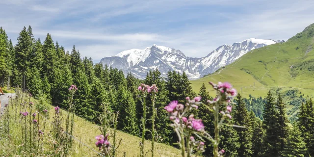 Cycling in Saint Gervais