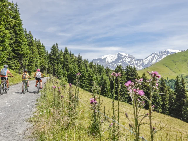 Vélo à Saint Gervais
