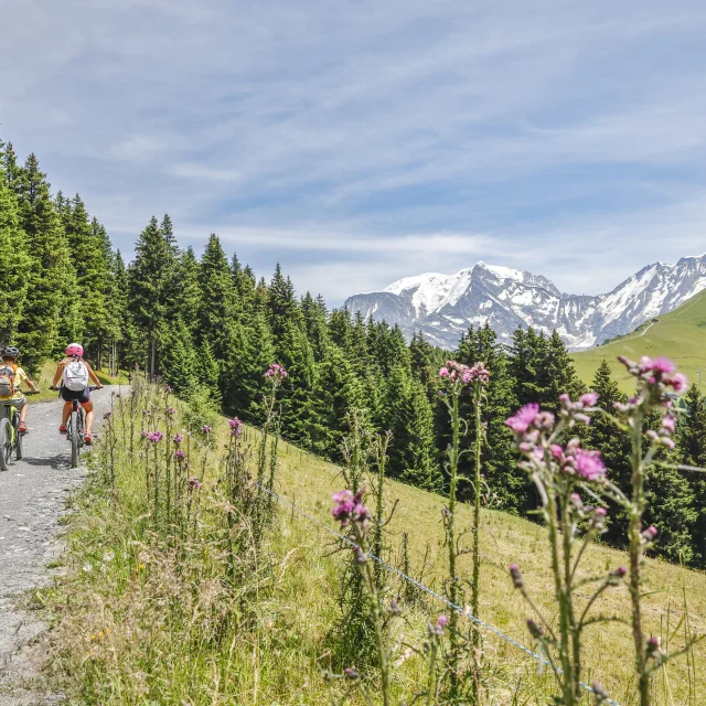 Vélo à Saint Gervais