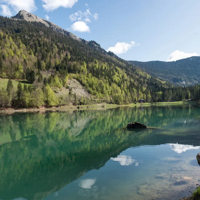 Lac de Montriond