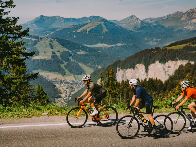 Velo de route