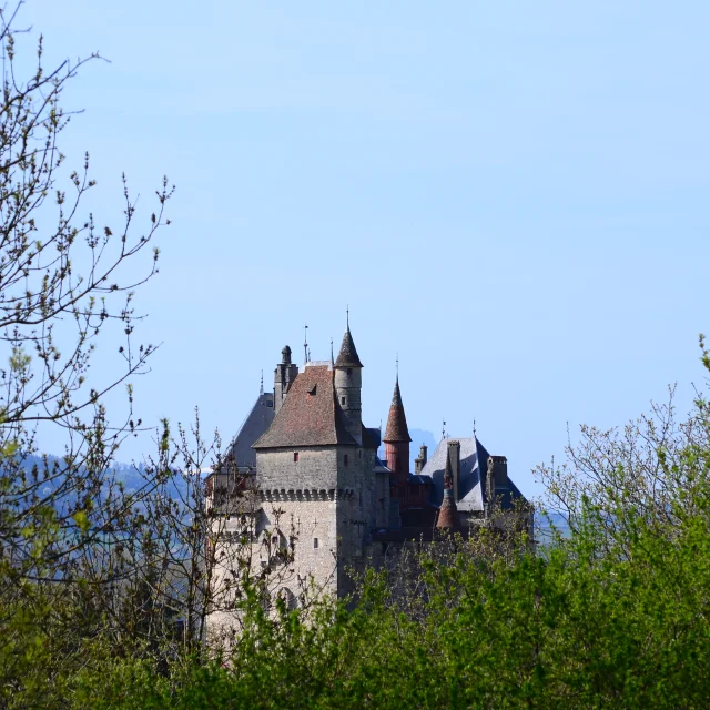 Château Menthon-Saint-Bernard vue depuis la forêt