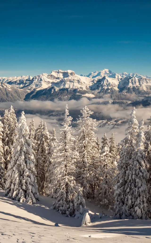 Vue depuis le Semnoz