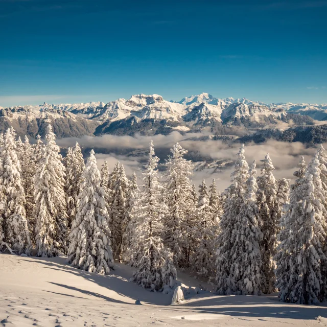 Vue depuis le Semnoz