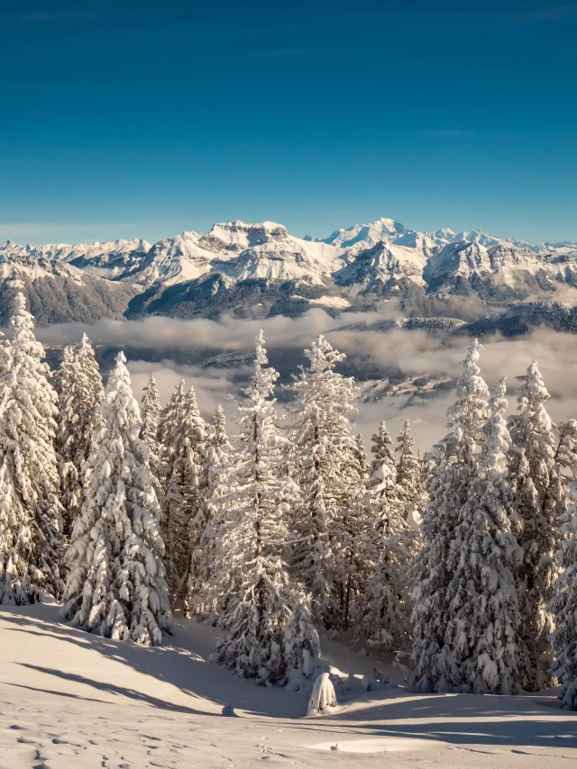 View from the Semnoz