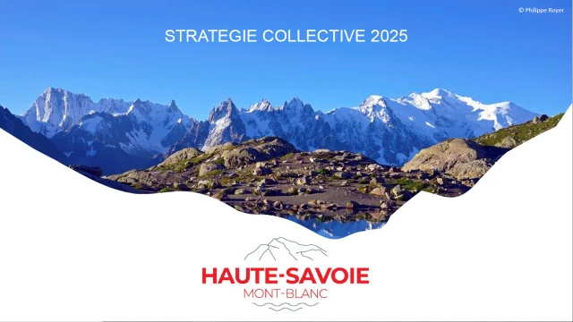 Stratégie collective