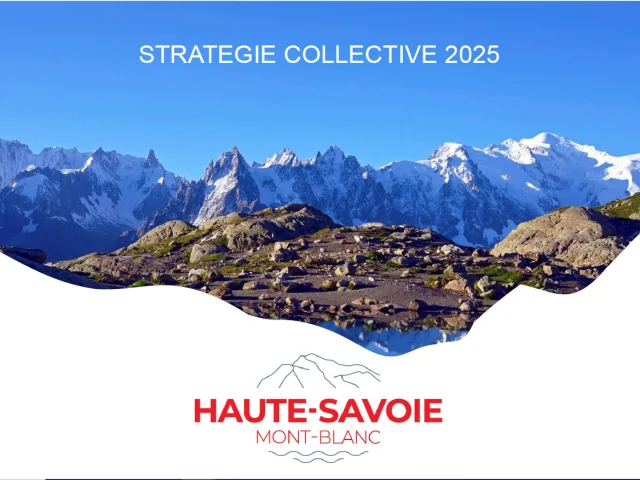 Stratégie collective
