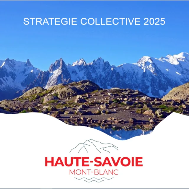 Stratégie collective