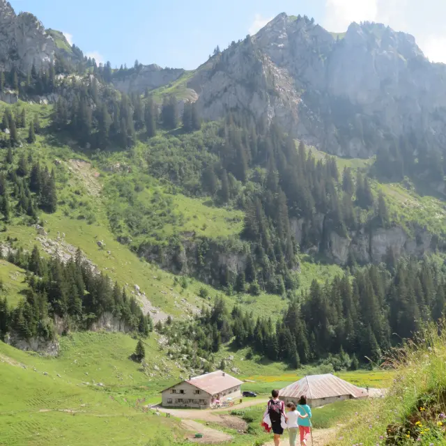 Randonnée alpage de Bise Vacheresse