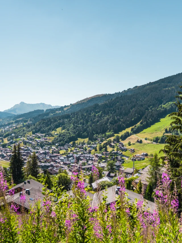 2020 07 20 Panorama Dorf Lesgets Manon Guenot 08225 Ld.