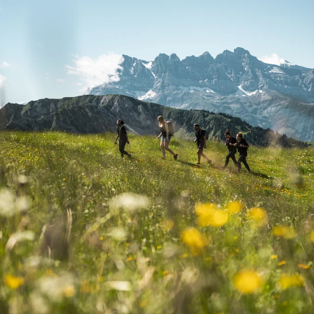 Wandelen in Châtel