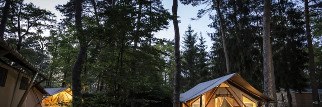Camping Huttopia - La Pinède