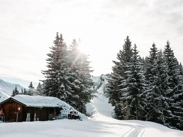 Morzine les Gets