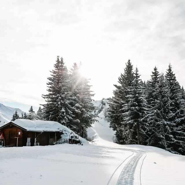 Morzine les Gets
