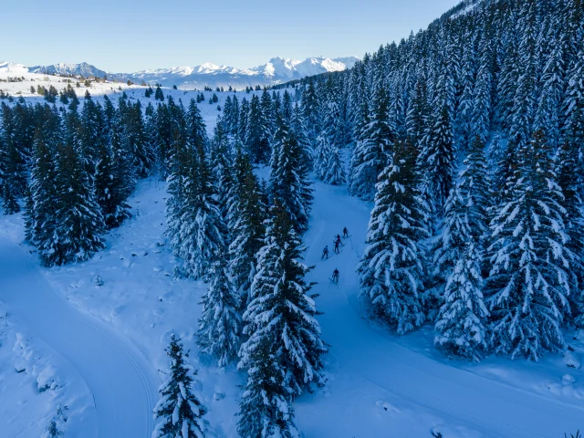 Plateau nordique Solaison