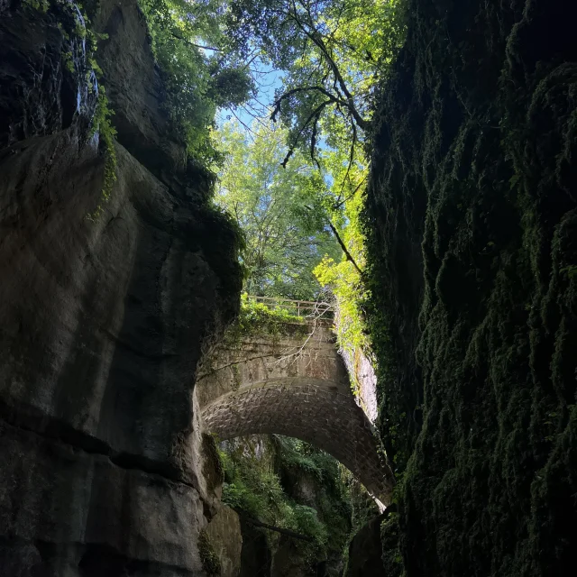 Les Gorges du Fier