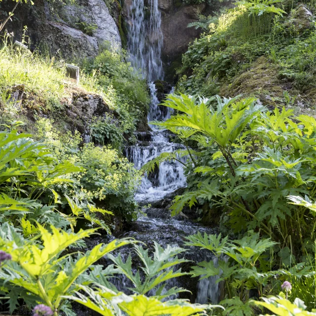 Jardin Botanique Samoens