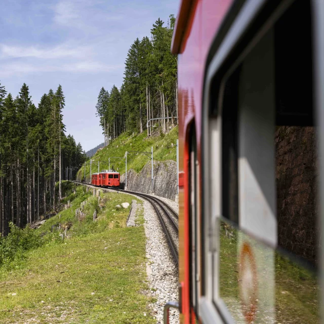 Train du Montenvers