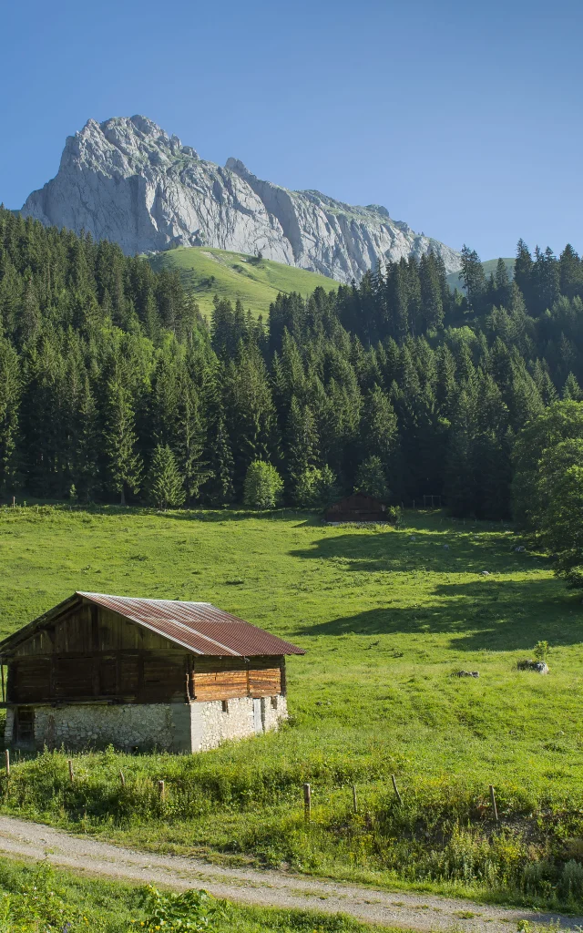 景観 シャペル・アボンダンス