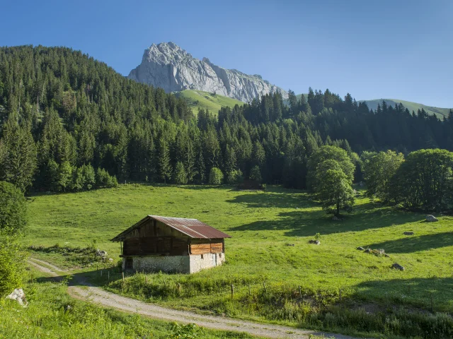 Paysage Chapelle Abondance