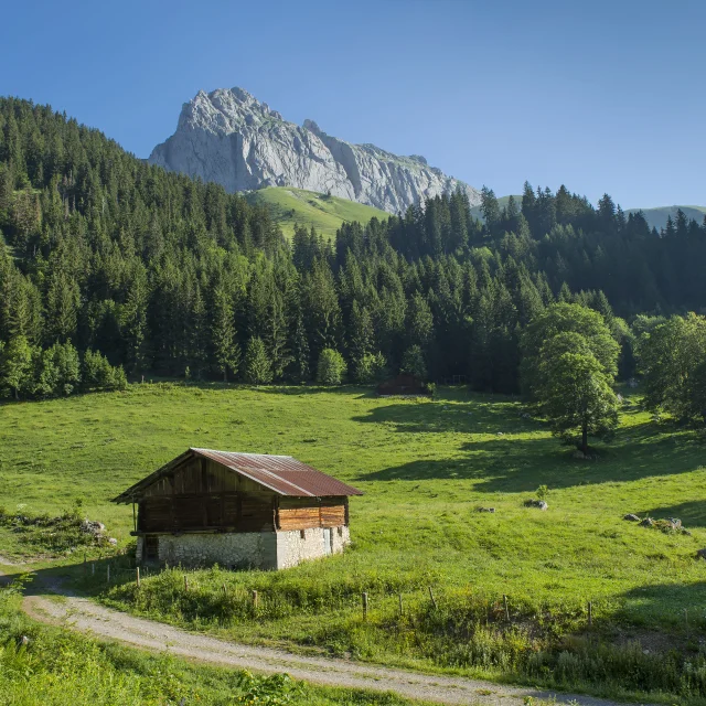 Paysage Chapelle Abondance