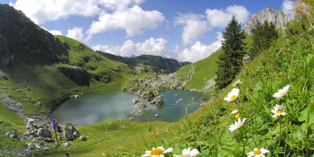 Landschap in Darbon