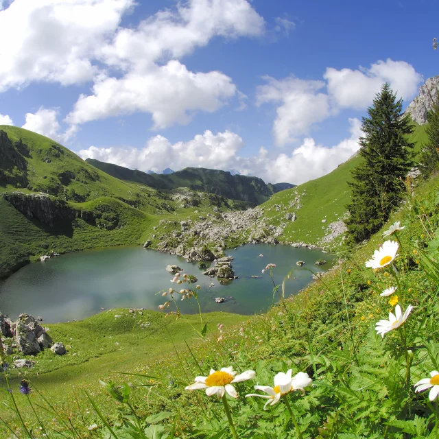 Paysage à Darbon