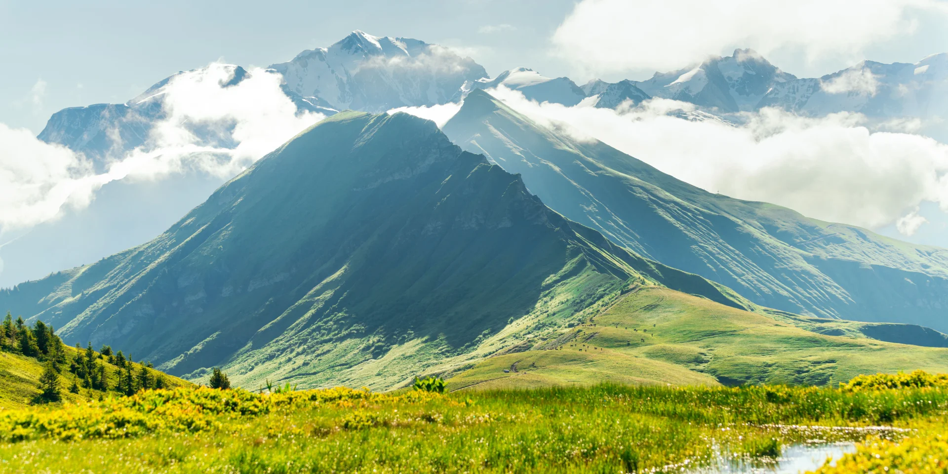 Paysage Praz-sur-Arly