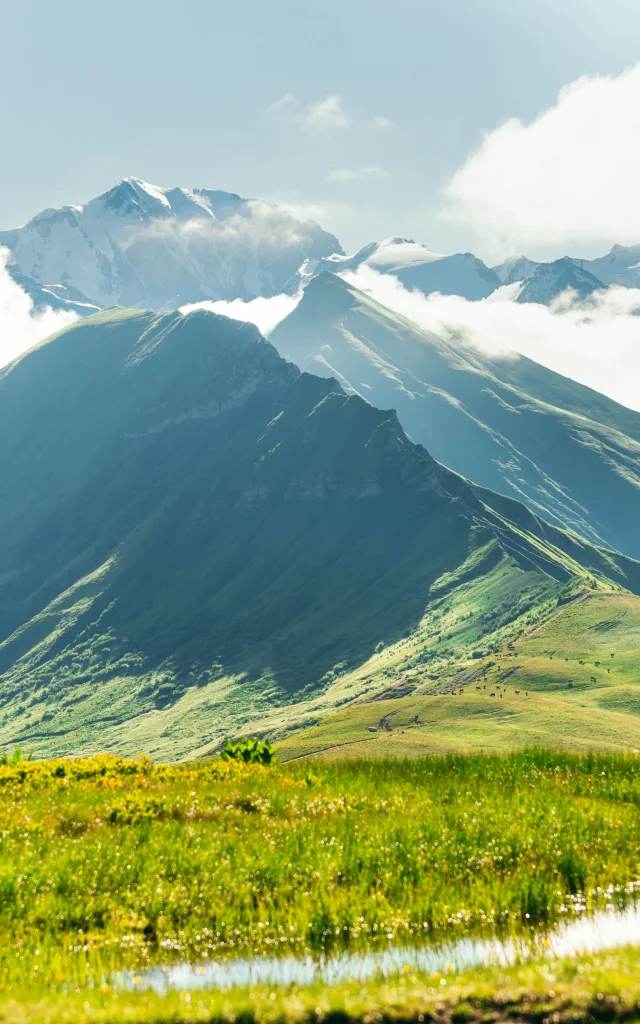 Landscape Praz-sur-Arly