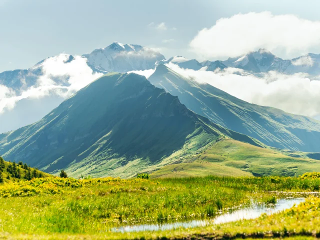 Paysage Praz Sur Arly David Malacrida