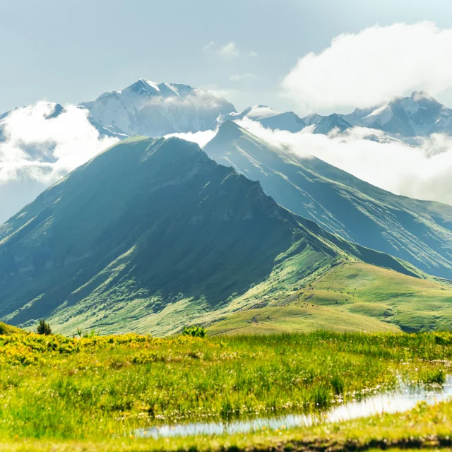 Paysage Praz Sur Arly David Malacrida