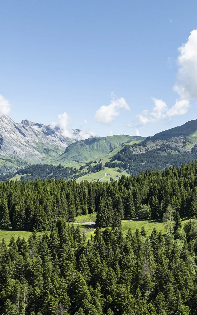 Paysage Saint Jean De Sixt