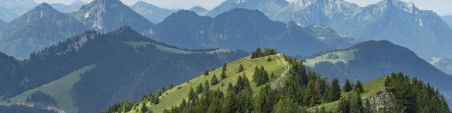 Paysage Thollon