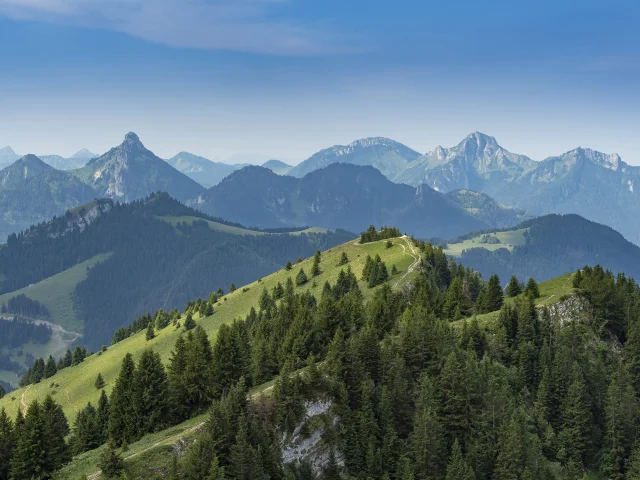 Paysage Thollon