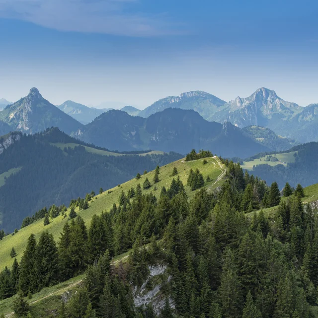 Paysage Thollon