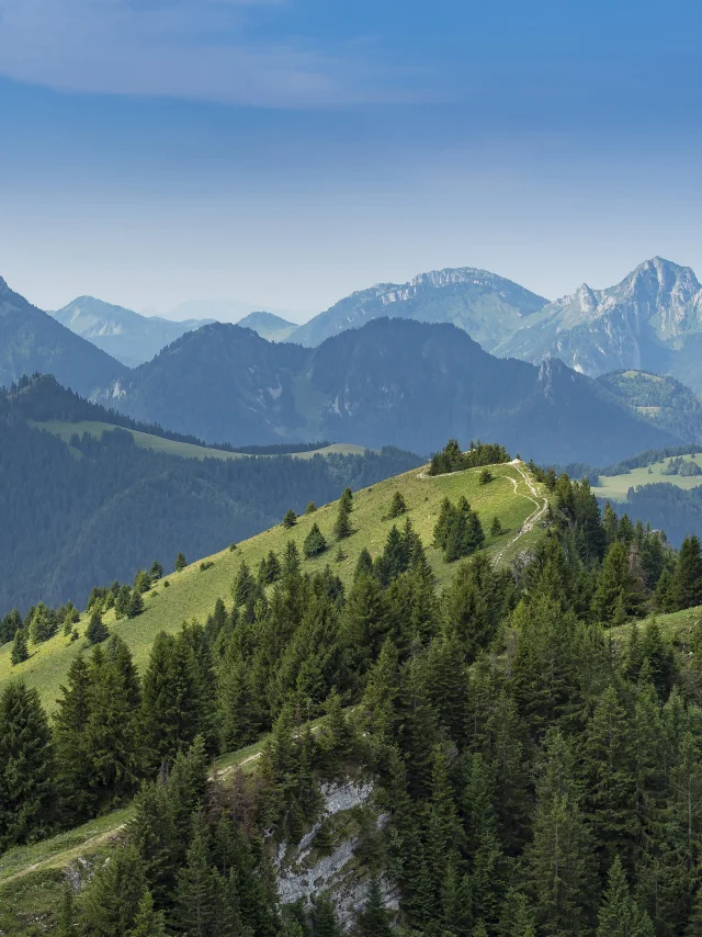 ランドスケープ・ソロン