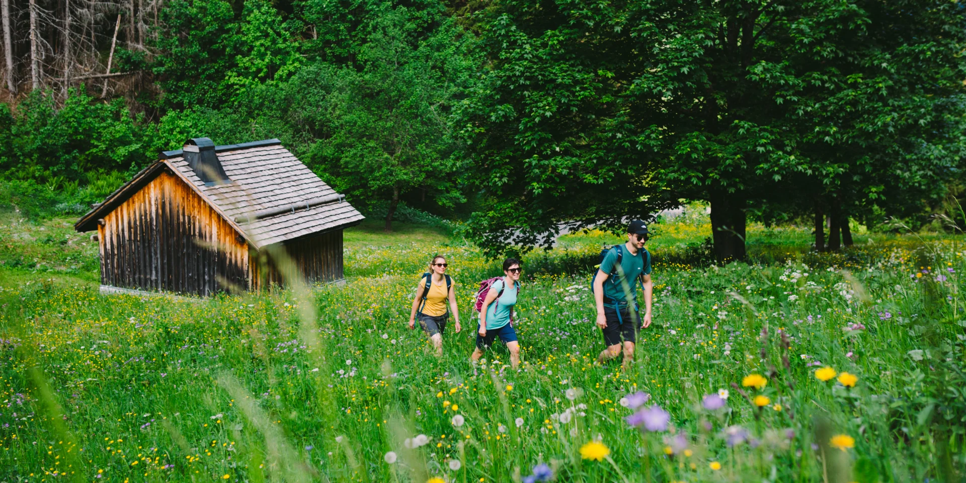 Rando été Morzine