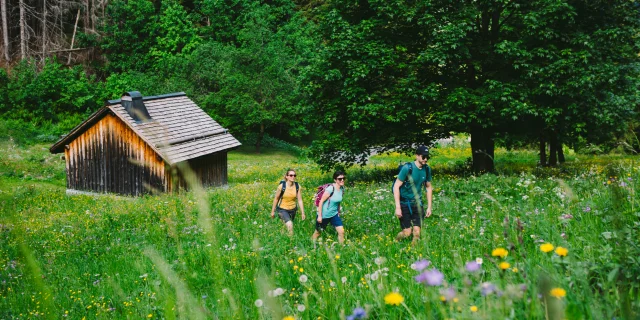 Rando été Morzine