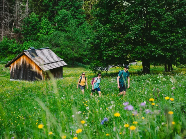 Rando été Morzine