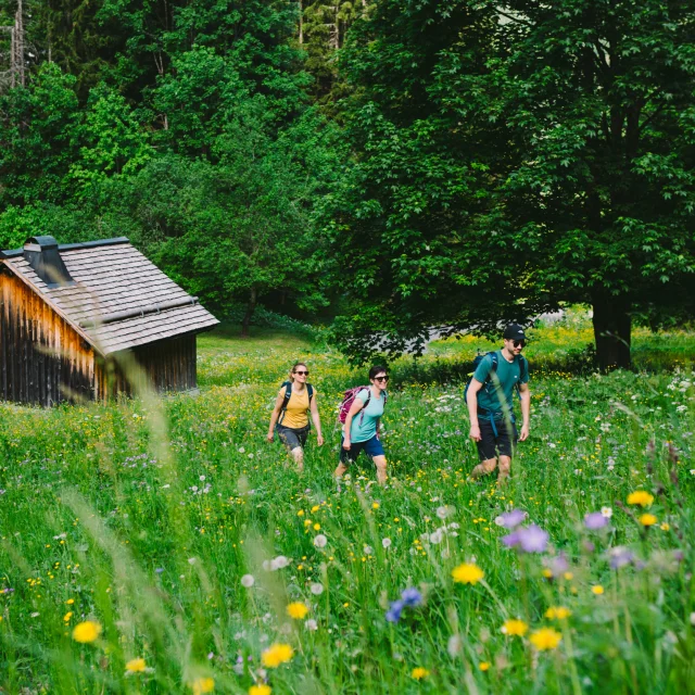Rando été Morzine