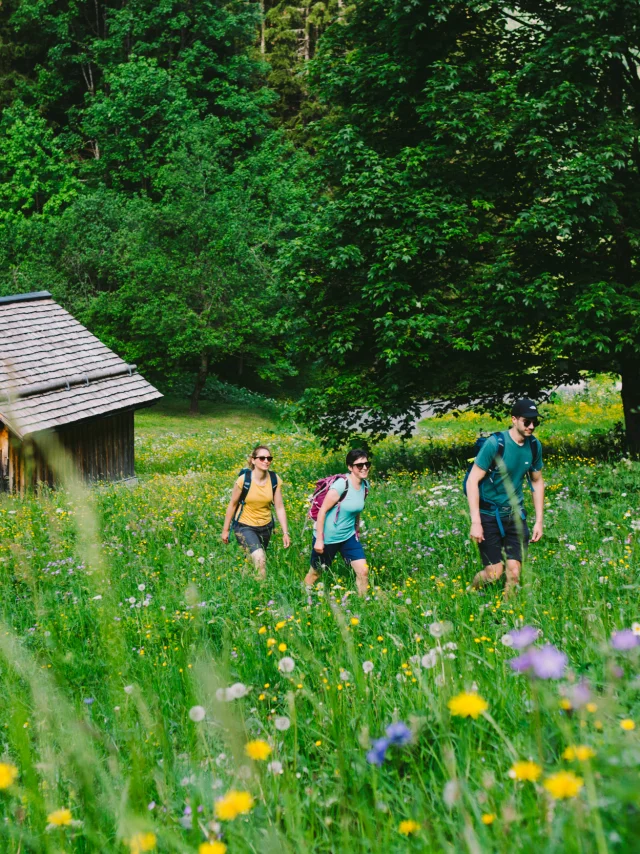Rando été Morzine