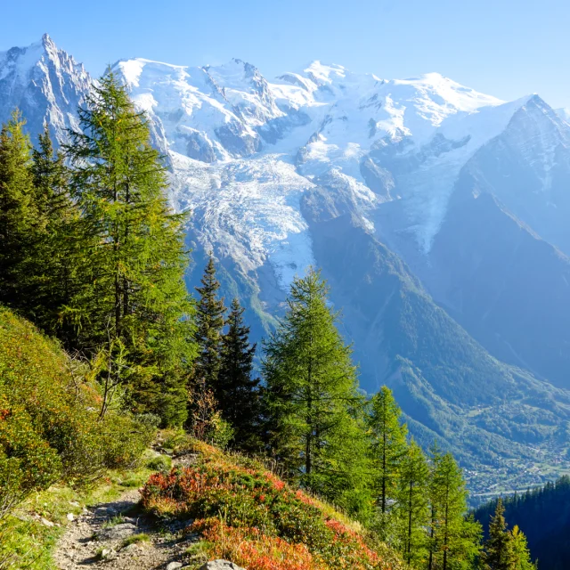 Randonnée à Chamonix