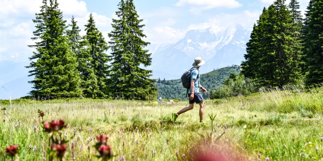Passeggiata a cordone